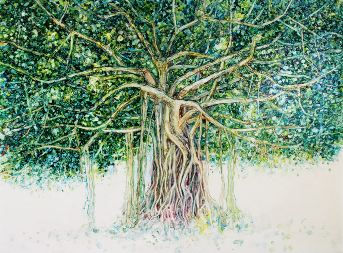 Banyan Tree tusche wash painting by Megan Morgan banyan tree artwork print
