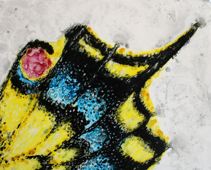 Fight Or Flight tusche wash painting by Megan Morgan butterfly wing art print