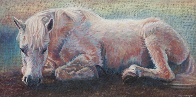 Turbin oil pastel on burlap by Megan Morgan white horse artwork print