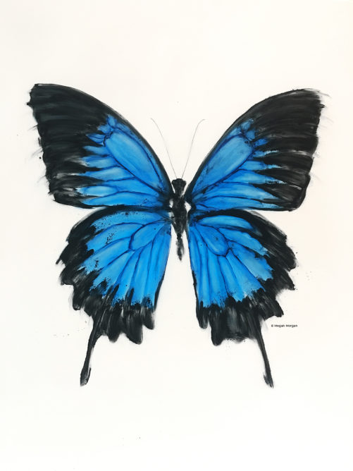 Ulysses Butterfly Tranquilo tusche wash painting by Megan Morgan artwork print