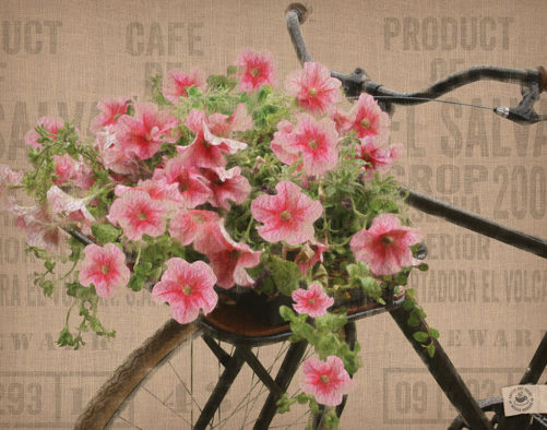 Globe Bicycle digital composition by Megan Morgan flower bicycle artwork