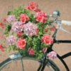 Schwinn Corvette Bicycle digital composition by Megan Morgan Schwinn Corvette art