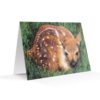 Cover featuring Deer 2020 artwork notecard
