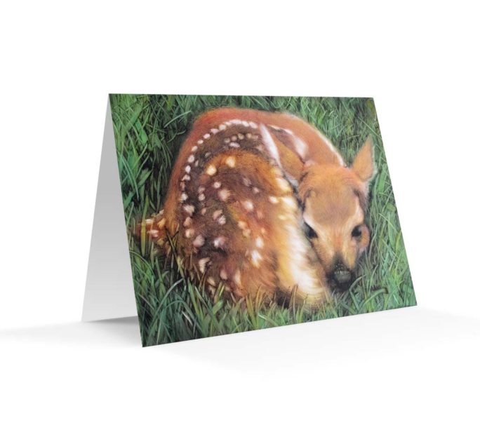 Cover featuring Deer 2020 artwork notecard
