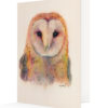 Cover featuring Barn Owl 2020 artwork notecard